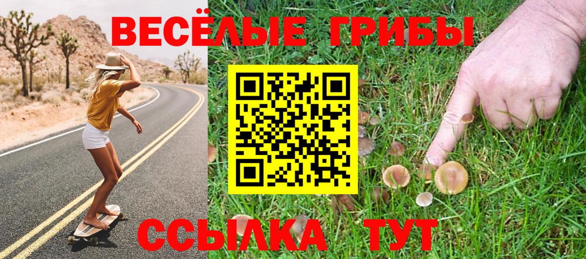 Мефедрон  ГАШИШ  Конопля  Йошкар-Ола  Вход с VPN  Меф кристаллы  Гашиш 