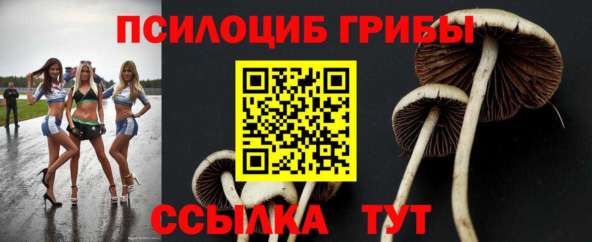 Псилоцибиновые грибы прущие грибы Йошкар-Ола