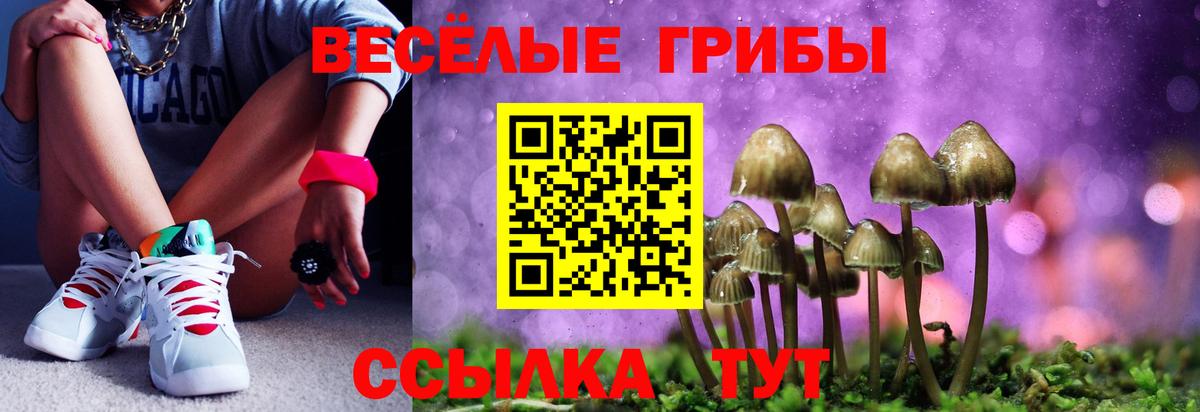 Псилоцибиновые грибы мухоморы  Вход с VPN  Йошкар-Ола  Галлюциногенные грибы Psilocybe 